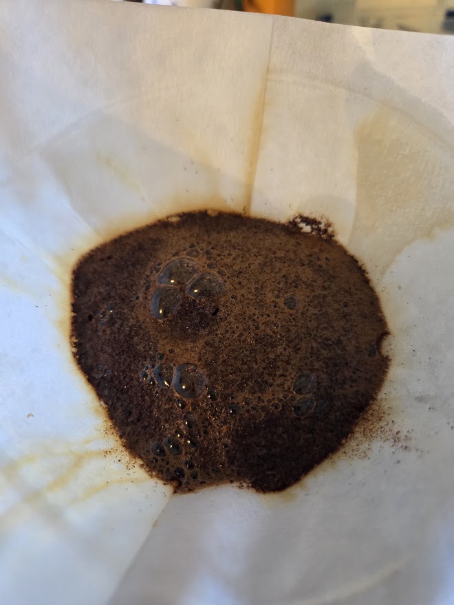 /media/coffee-blooming.jpg