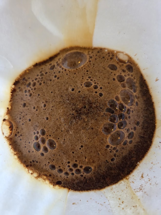 /media/coffee-blooming2.jpg